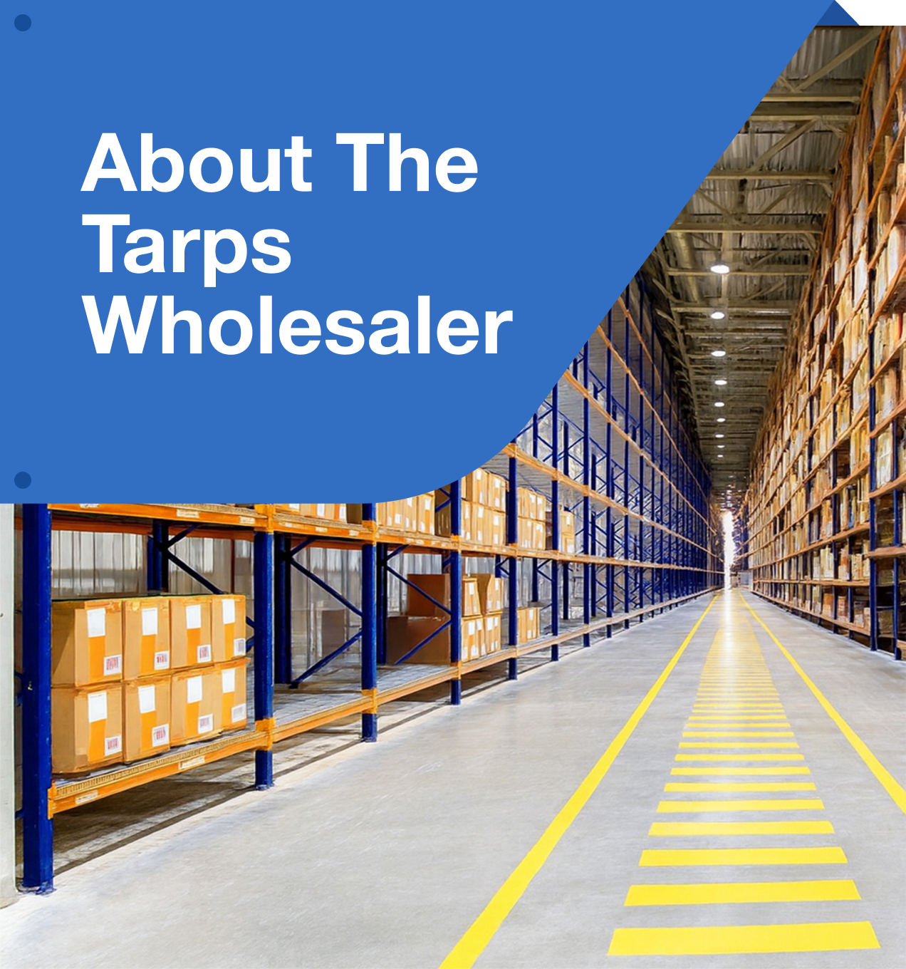About The Tarps Wholesaler – Your Trusted Source for Quality Tarps